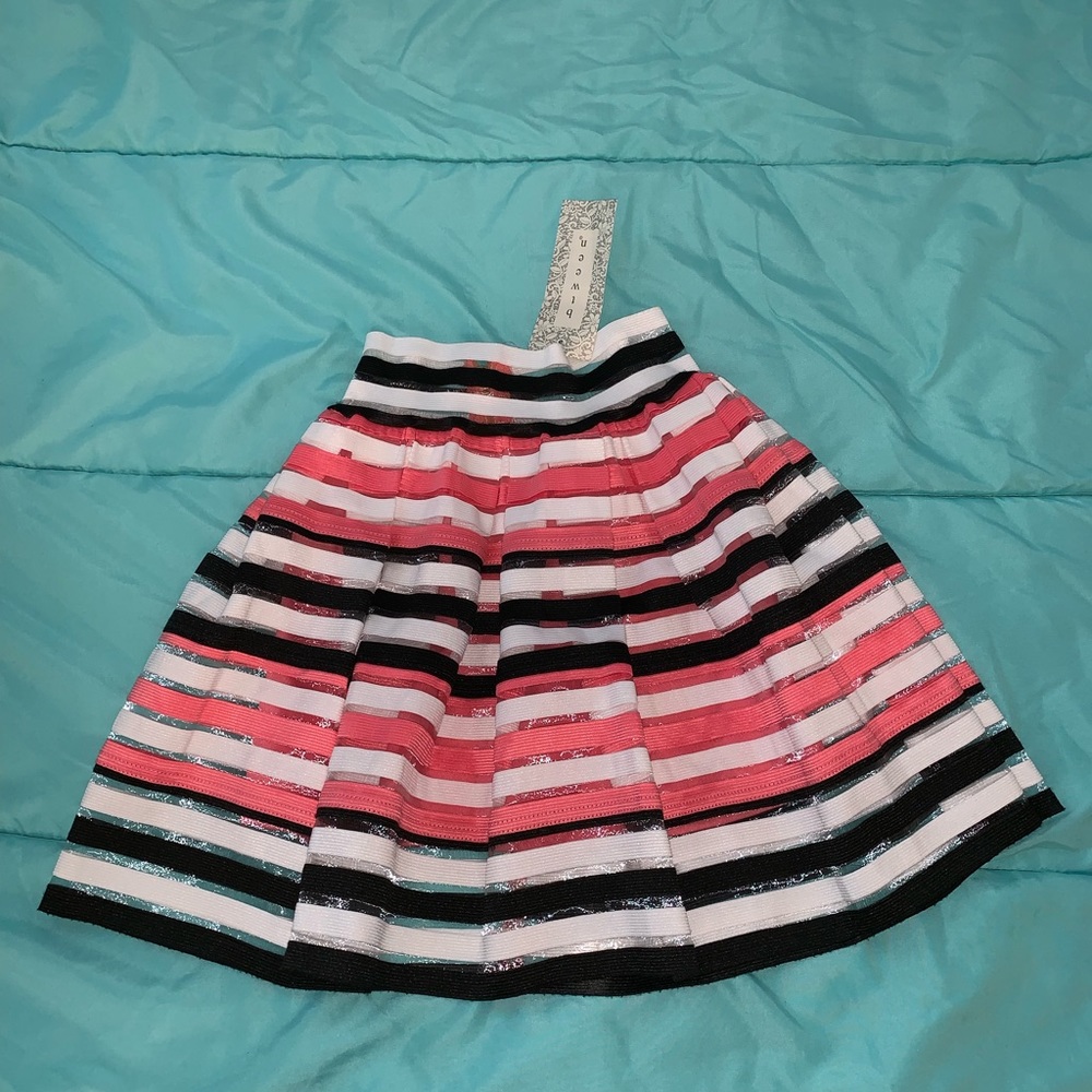 Striped Skirt